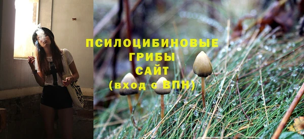 ПСИЛОЦИБИНОВЫЕ ГРИБЫ Абдулино