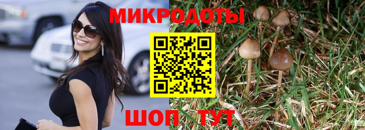 Галлюциногенные грибы прущие грибы Карталы